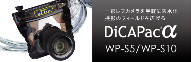 【美品】DiCAPac α WP-S5